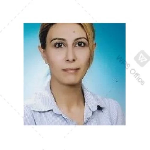 Nilüfer T-