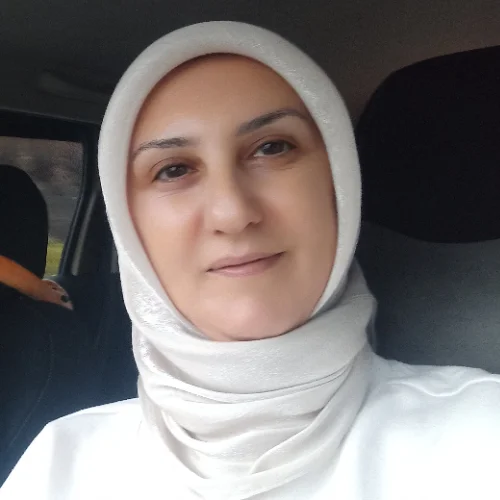 Çınar G-