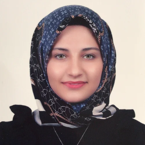 Bahriye K-