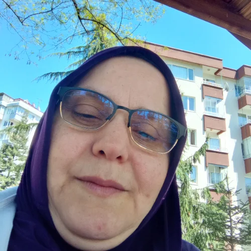 Aygün A.