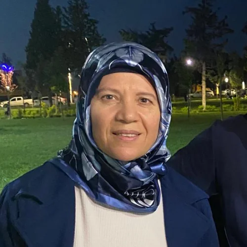 Menekşe D.