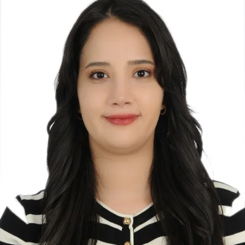 Sinem Y.-