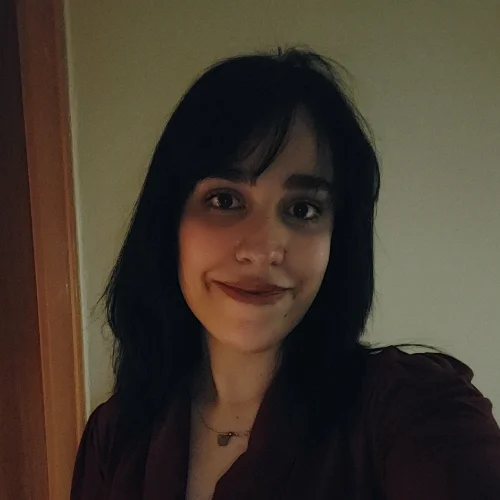 Irmak Z.